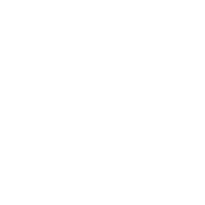 Black Arrows Logo White